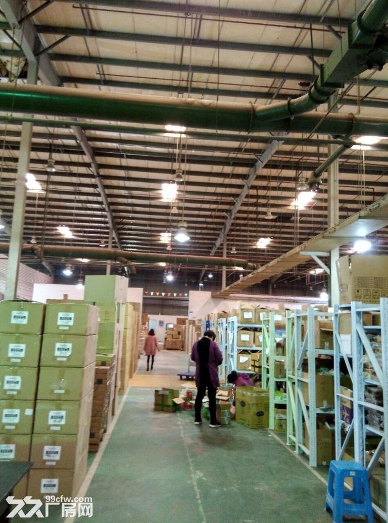 个人独资企业的最新政策解读与发展动态