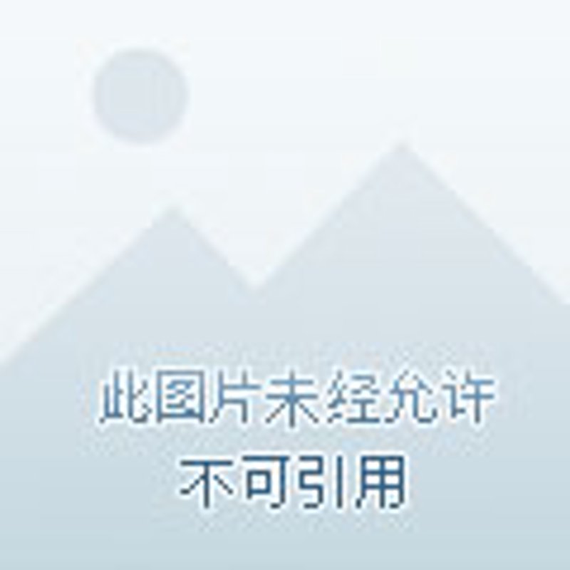 日用百货批发：行业动态分析与趋势洞察